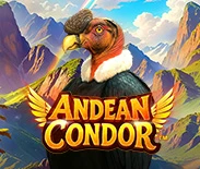 Andean Condor